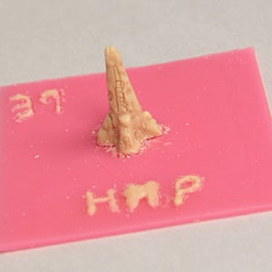 wax sculpture of Pitt Cathedral