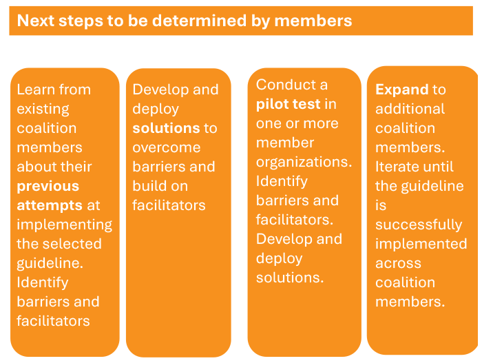 Implementation process - next steps