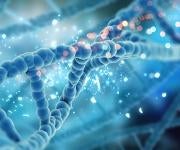 DNA helix